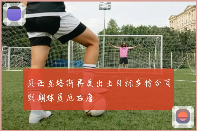 贝西克塔斯再度出击目标多特合同到期球员厄兹詹
