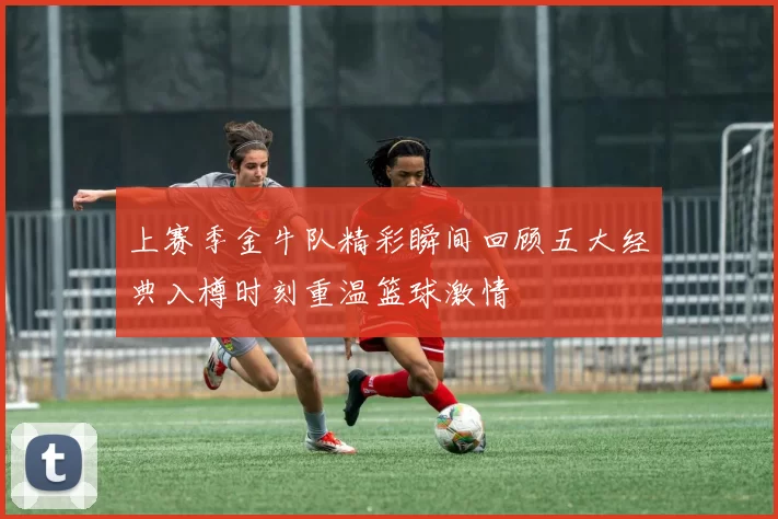 上赛季金牛队精彩瞬间回顾五大经典入樽时刻重温篮球激情